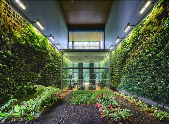 Plant palette for sheltered sky terraces was specially curated to enhance long-term sustainability
